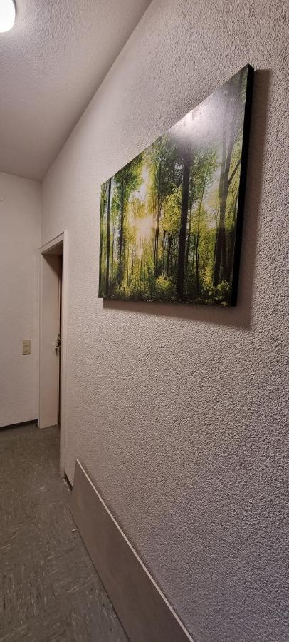 Waterfalls Apartment 2 Triberg im Schwarzwald Buitenkant foto